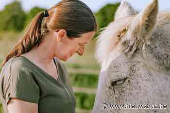 Wendy schrijft e-boek van angst naar vertrouwen via horse reflected coaching nadat ze moest revalideren na ruiterongeval
