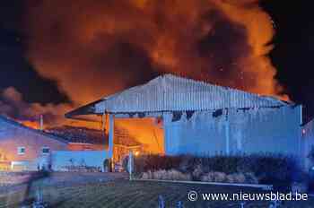 Brandweer nog eens opgeroepen voor heropflakkering bij landbouwer: “We waren erop voorbereid”