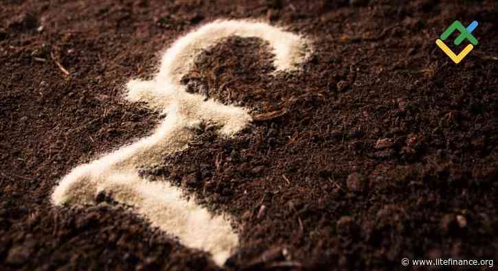 Will the Pound Lose Ground? Forecast as of 30.08.2024