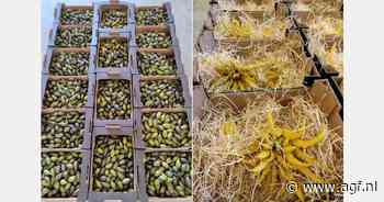 "Eerste leverancier van Spaans exotisch citrus met bio certificering"