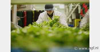 Bonduelle wil groentesnijderijen Frankrijk en Duitsland verkopen