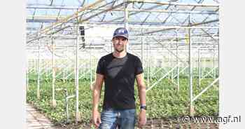 Pim is dertig en wil door met paksoi en postelein in nieuwe kas