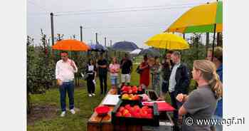 "Zomerrassen interessant concept om seizoen te verlengen en plukkers aan het werk te houden"