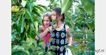 Fruitigste Hardfruitdagen van start met nieuwe oogst