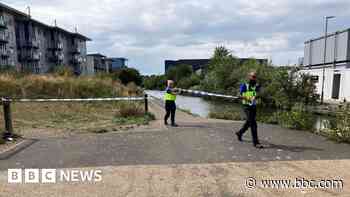 Meetings over canal cyanide spill which killed fish