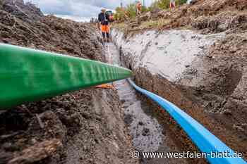 Glasfaser: Brockhagenerin wirft Telekom-Mitarbeiter Betrug vor