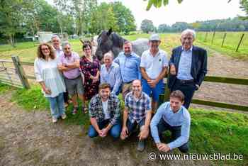 Provincie start met promotiecampagne voor trekpaard: “We gaan deze Brabantse trots meer op de toeristische kaart zetten”
