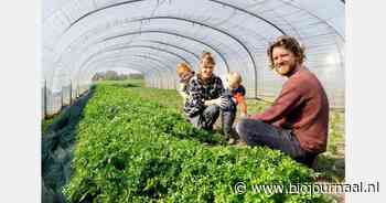‘t Goed ter Heule wil een volledig zelfvoorzienende bioboerderij zijn