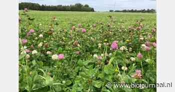"Biodiversiteit in graslanden kan met 75% afnemen"