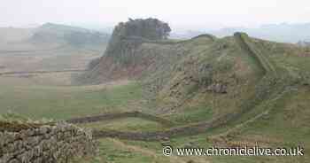 Hadrian's Wall chosen for study of impact of climate change on historic sites