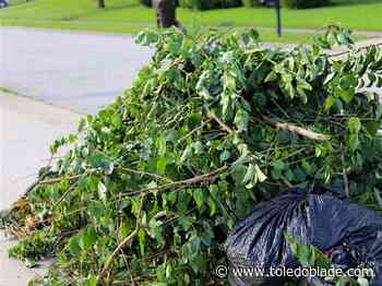 Block-by-block cleanup targets DeVilbiss neighborhood