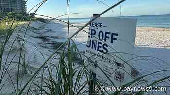 One year after Hurricane Idalia, some Pinellas beaches still damaged