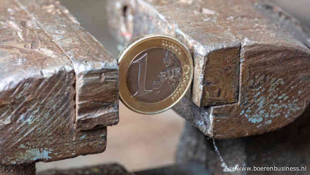 Nederlandse inflatie opmerkelijk hardnekkig