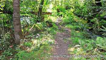 Spurenlesepfad in Bad Wildbad: Erlebnis bietet wilde Natur – und  nasse Füße