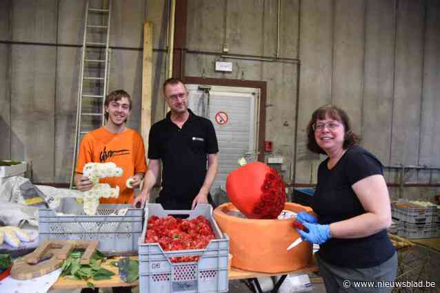 Bijna tien keer minder dahlia’s beschikbaar dan besteld: “Groepen bloemencorso hebben zeer snel alternatieven gezocht”