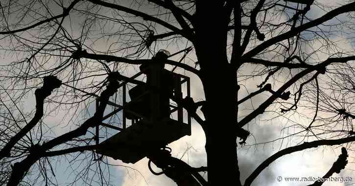 Kran-Lastwagen stürzt Abhang hinab – Mann leicht verletzt