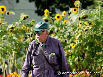 Edmonton weather: The summer heat isn't done yet