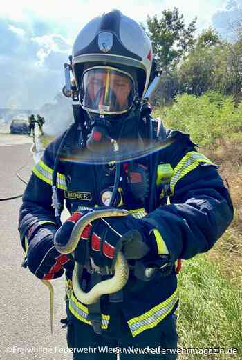 Feuerwehr rettet Reptil