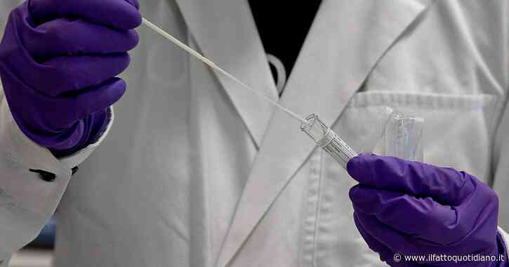 Così i tumori si tengono in vita, gli scienziati italiani identificano la proteina che li “aiuta”