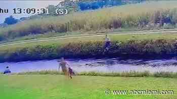 ‘My cousin!': Video shows good Samaritans helping save woman from canal after fatal ATV crash