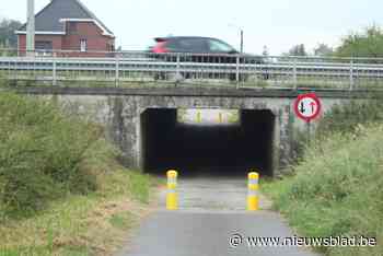 Veiliger schoolfietsen op Leeuwerikstraat tussen Bilzen en Hoeselt