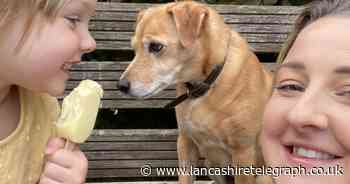 Dog owners issued warning after ice cream mix up results in £2,000 vet bill