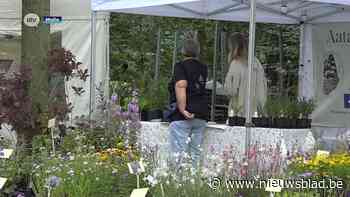 Kasteel Heihuyzen in Malle stelt komend weekend privédomein open voor tuindagen: “Iedereen welkom”