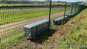 Baustelle an der B243: Was entsteht da bei Bad Lauterberg?