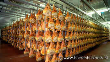 Vertrouwen in varkensprijs neemt weer wat toe