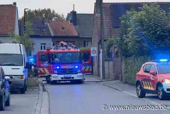 Auto vliegt in brand aan oprit: “Gelukkig is de brand niet overgeslagen naar het huis”