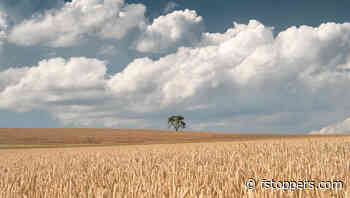 Transforming a Dull Photo into a Dramatic Image