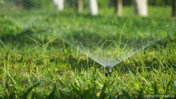 Water use sees small drop as city receives reports of fake water restriction inspectors going door-to-door