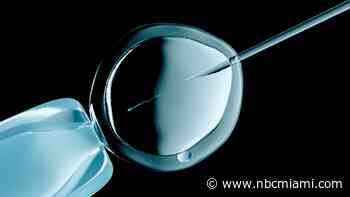 A tough battle: South Florida doctor weighs in on Trump's IVF coverage plan