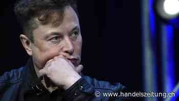 Bundesrichter ordnet Stilllegung von X in Brasilien an