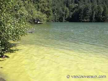 Why you shouldn't swim at this Squamish lake