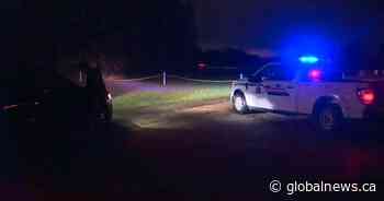 Documents offer glimpse into accused corn maze killer’s history with Alberta justice system