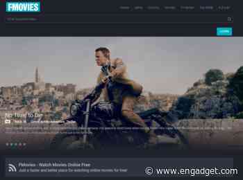 Police Bust World’s Largest Pirate Movie Site