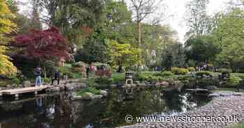 London's hidden garden that makes you feel like you're in Japan