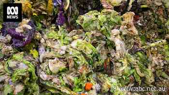 Canberra food waste collection program takes 'back seat' to recycling facility