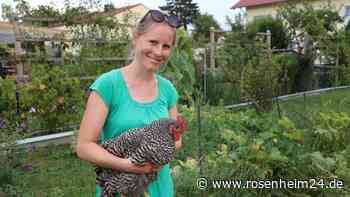 Hühner-Hype: Stadtbewohner entdecken die Freude am eigenen Ei – Doch was sagen Tierschützer?