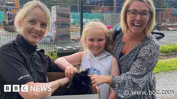 Missing cat reunited with owner after nine years