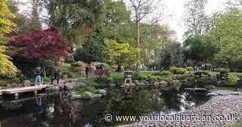 London's hidden garden that makes you feel like you're in Japan