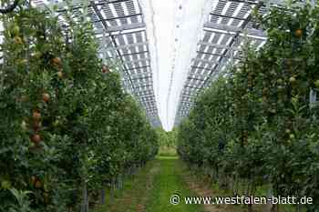 Agri-PV in Warburg-Wormeln: Die Bürger besser informieren