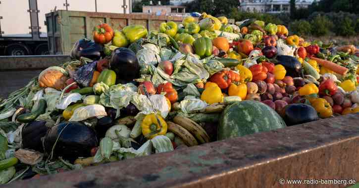 Wettbewerb zur Abfallvermeidung: Forchheimer Reste-Kochbüchla