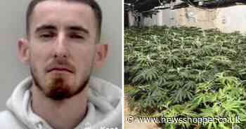 Gravesend man jailed for hiding more than 1,000 cannabis plants behind fake wall
