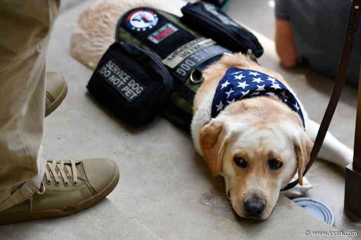 Kyle VFW raising money to help veterans get service dogs