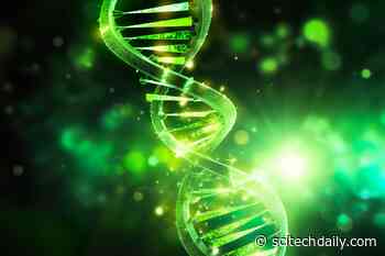 Unlocking the Secrets of DNA: New Genetic Sensor Discovered