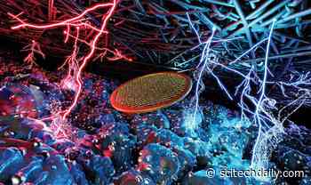 Fuel Cell Breakthrough: New Research Reveals Key to Extended Lifespan