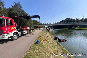 Brandweer redt op hol geslagen paard uit kanaal in Lommel
