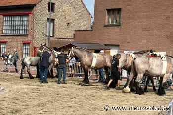 Jaarmarkt opnieuw voltreffer